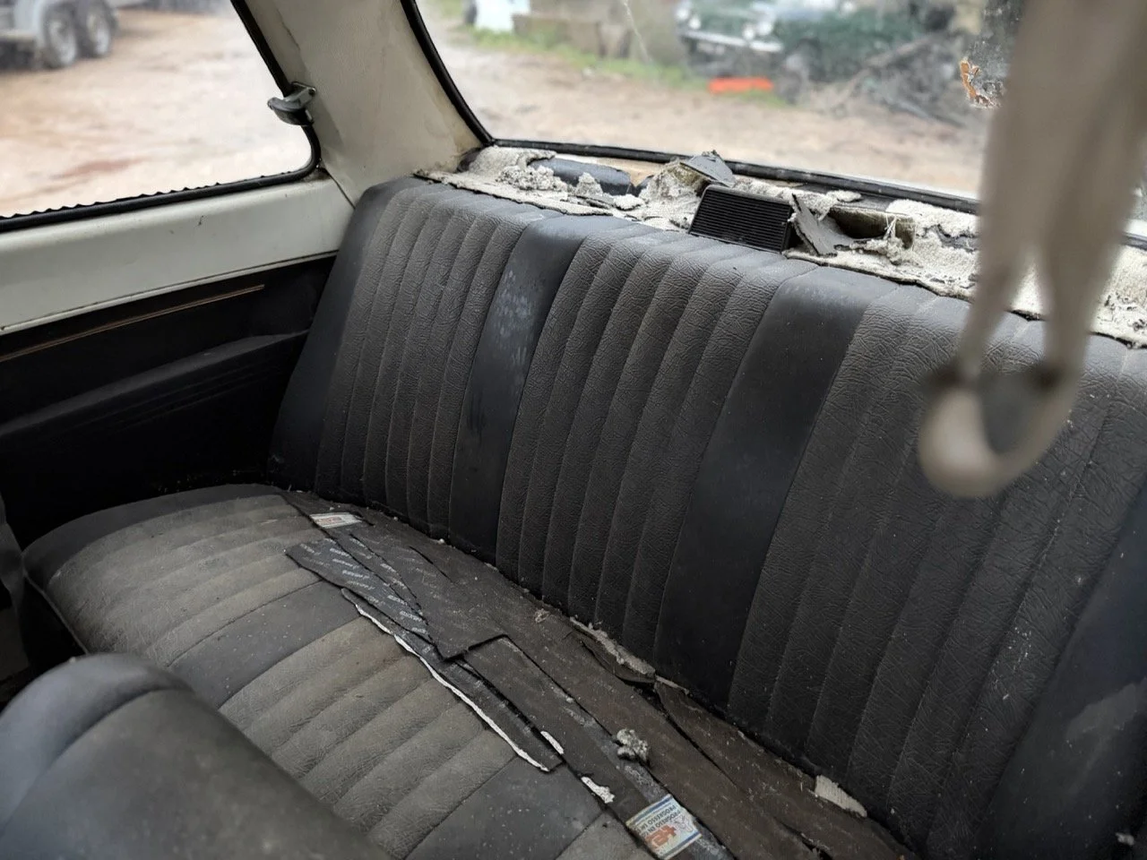 IMG_0118 – grande.jpeg