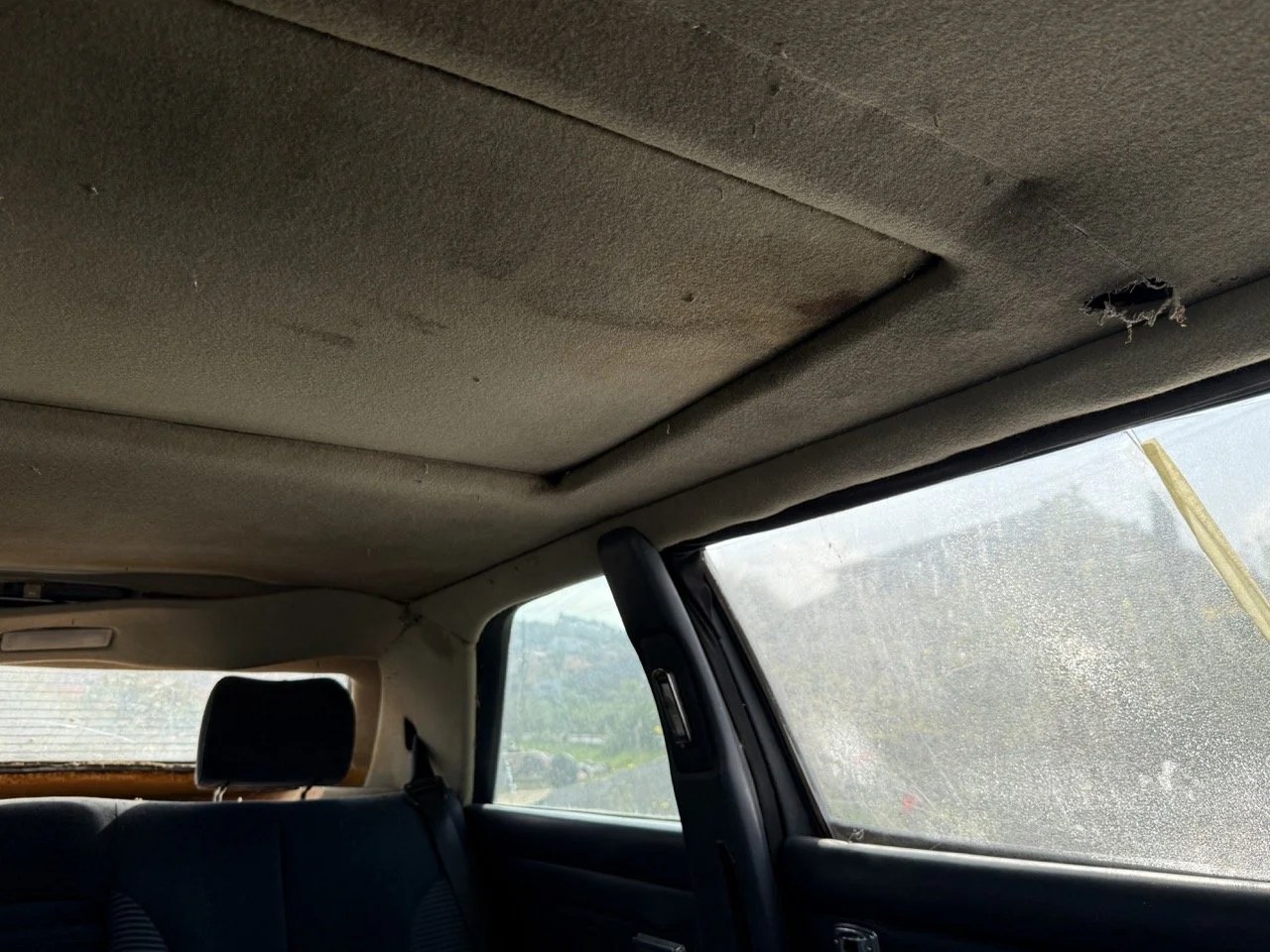 IMG_3431 – grande.jpeg