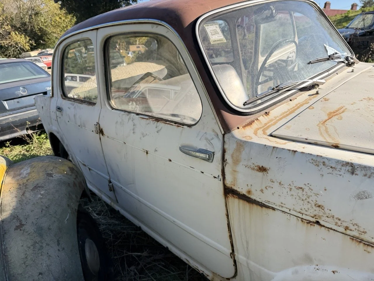 IMG_2530 – grande.jpeg