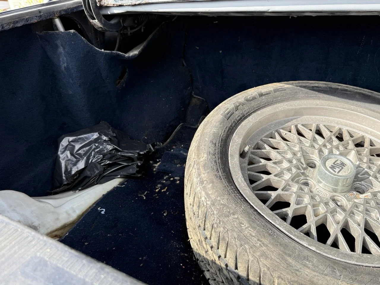 IMG_3395 – grande.jpeg