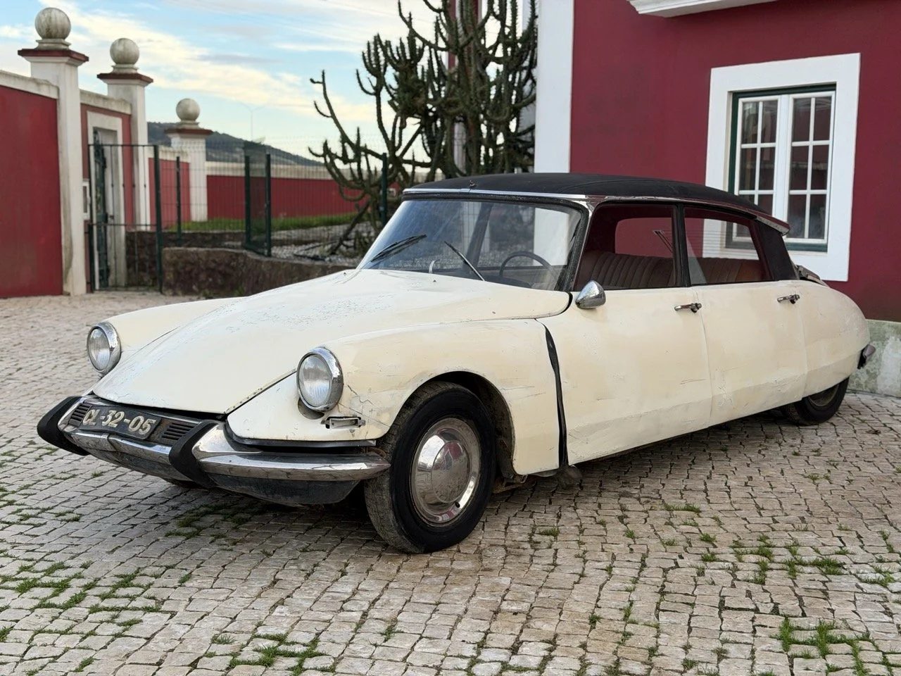 IMG_5925 2 – grande.jpeg