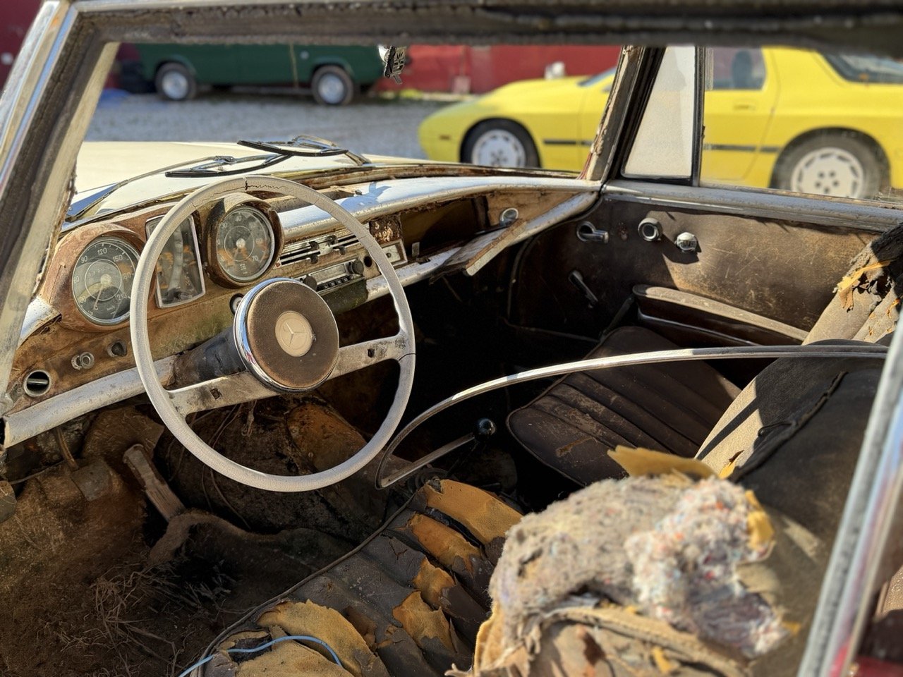 IMG_7009 – grande.jpeg