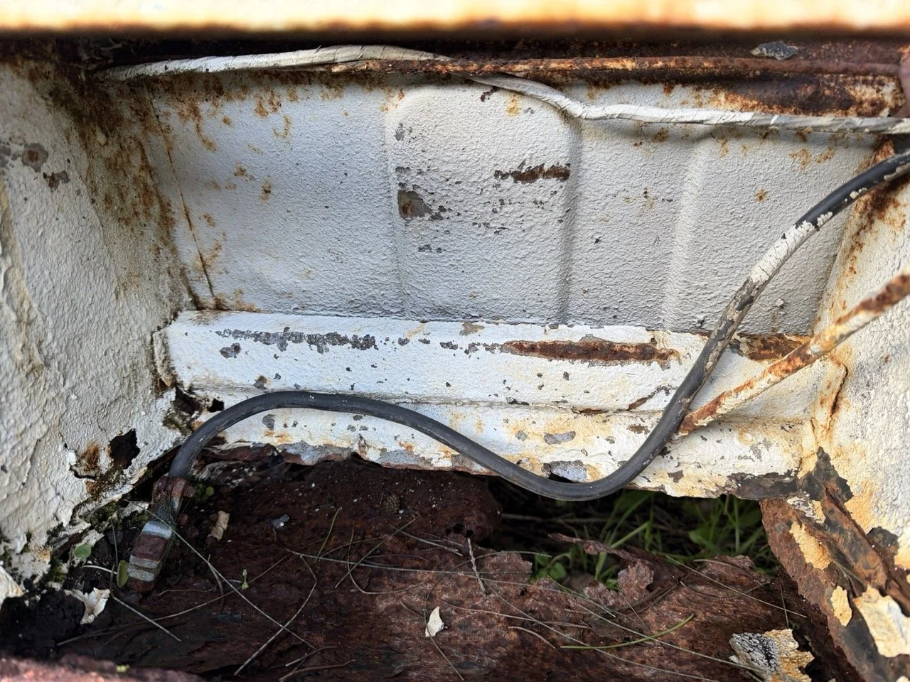 IMG_0908 – grande.jpeg