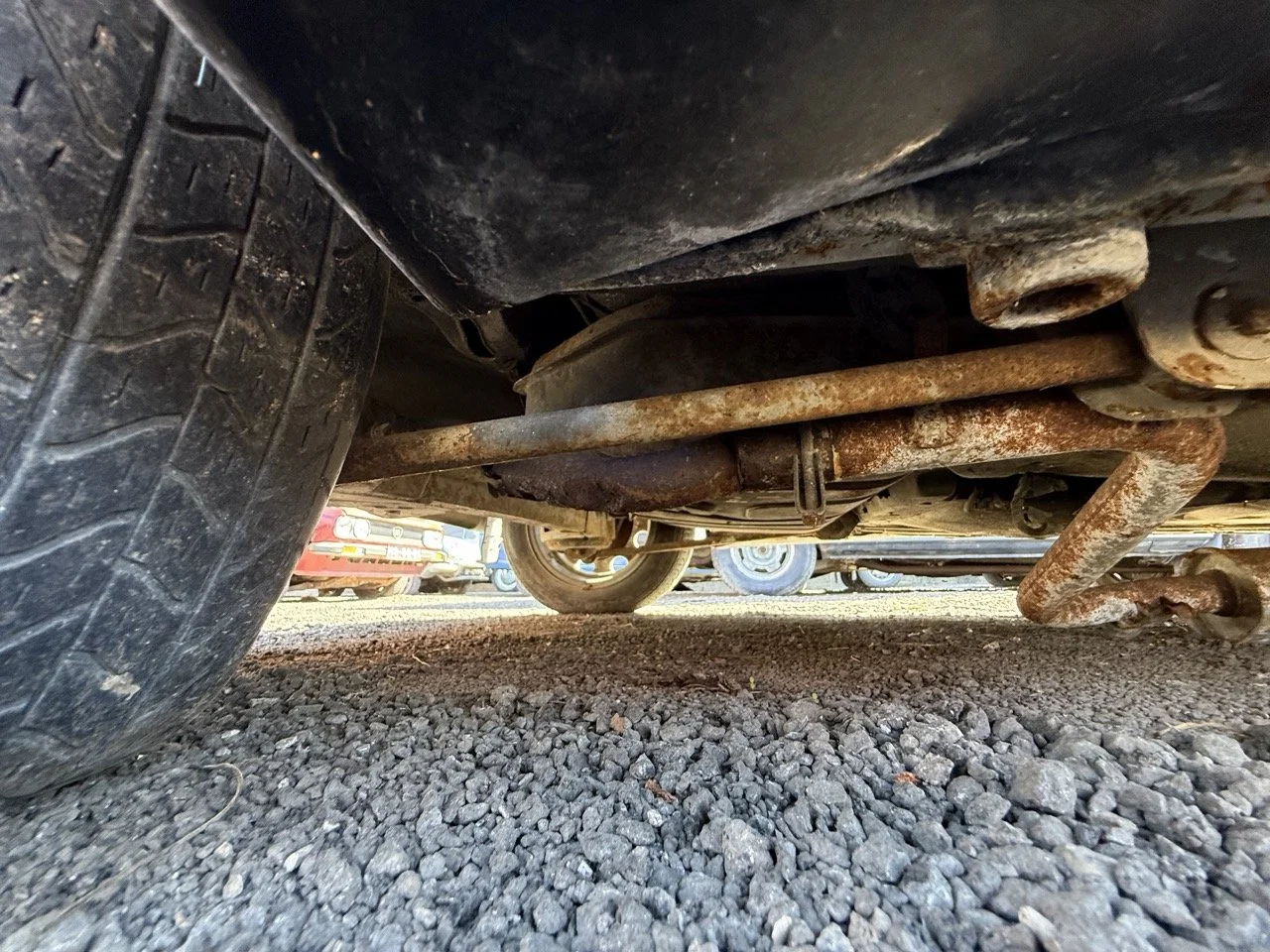 IMG_2957 – grande.jpeg