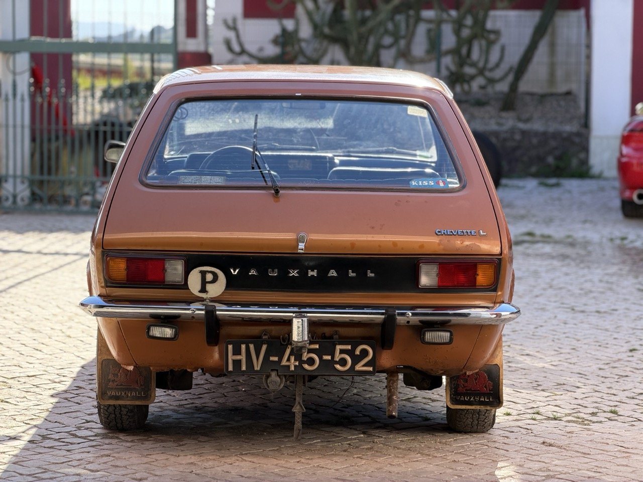 IMG_2340 – grande.jpeg