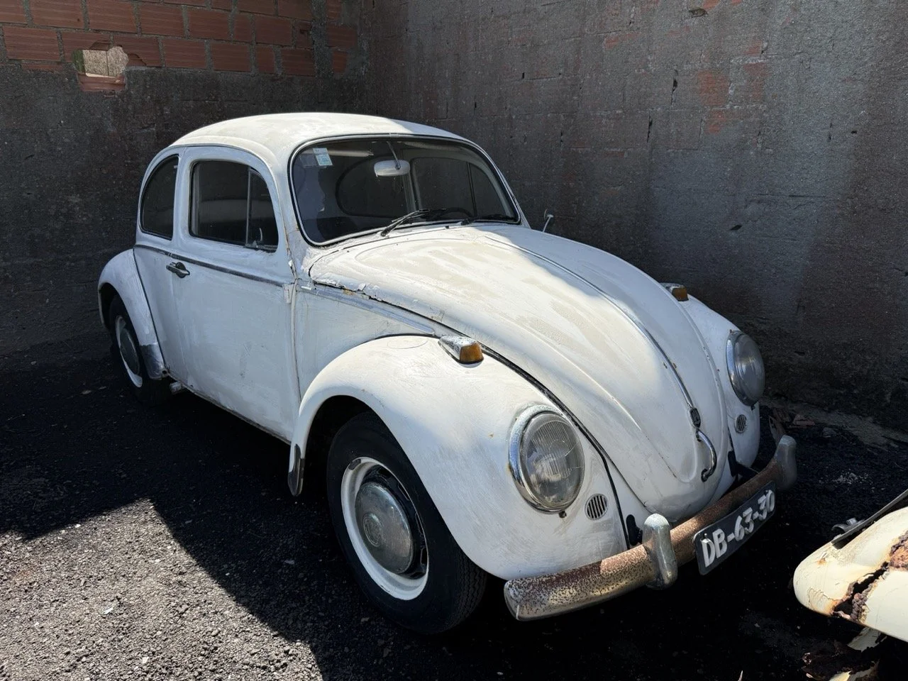 IMG_0667 – grande.jpeg