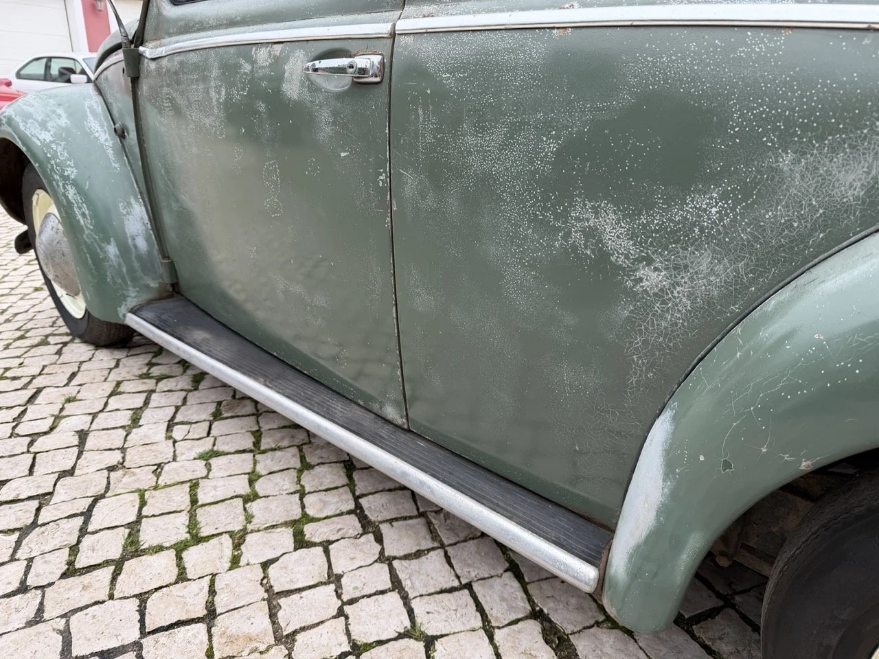 IMG_1199 – grande.jpeg