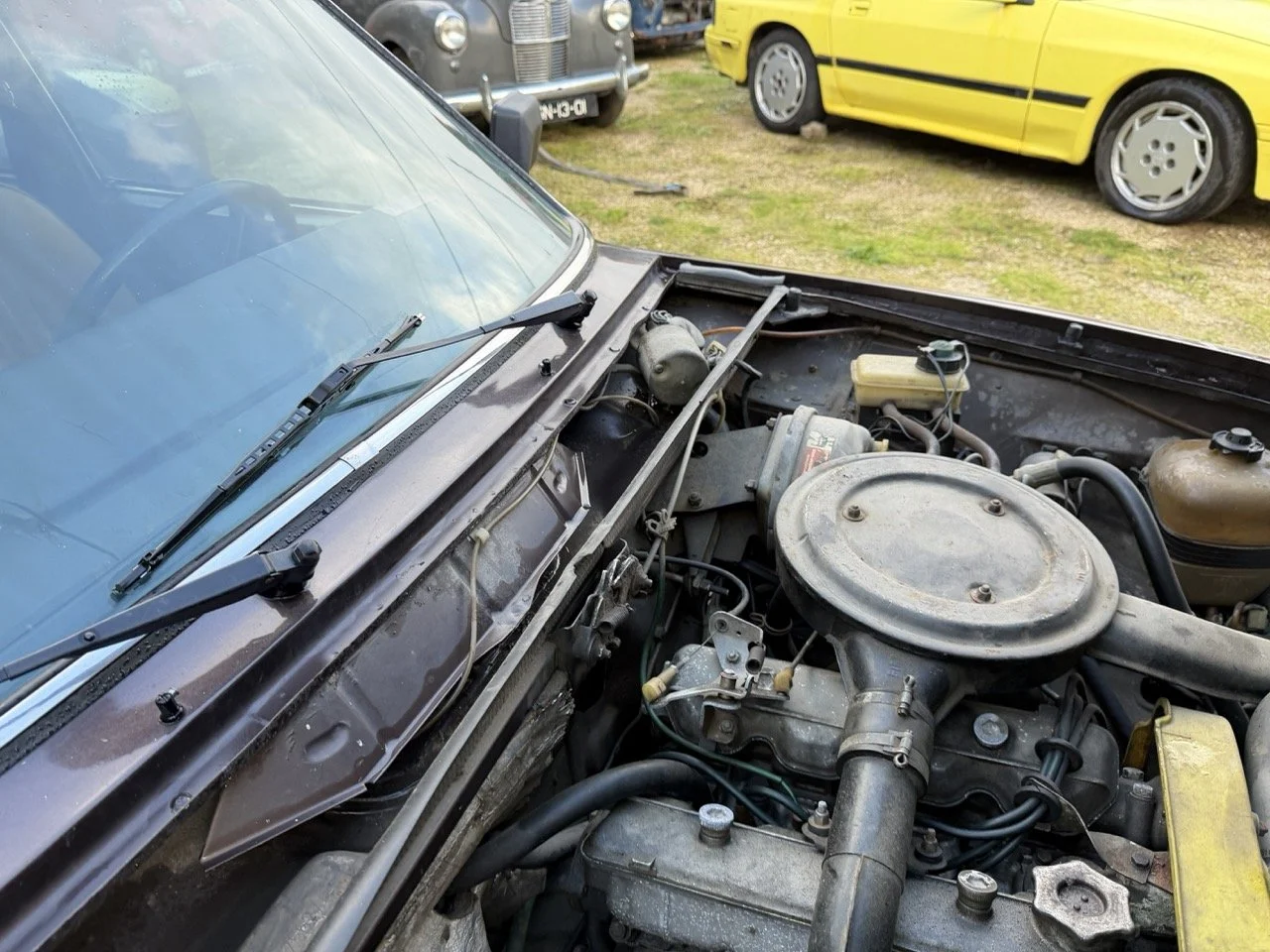 IMG_5284 – grande.jpeg