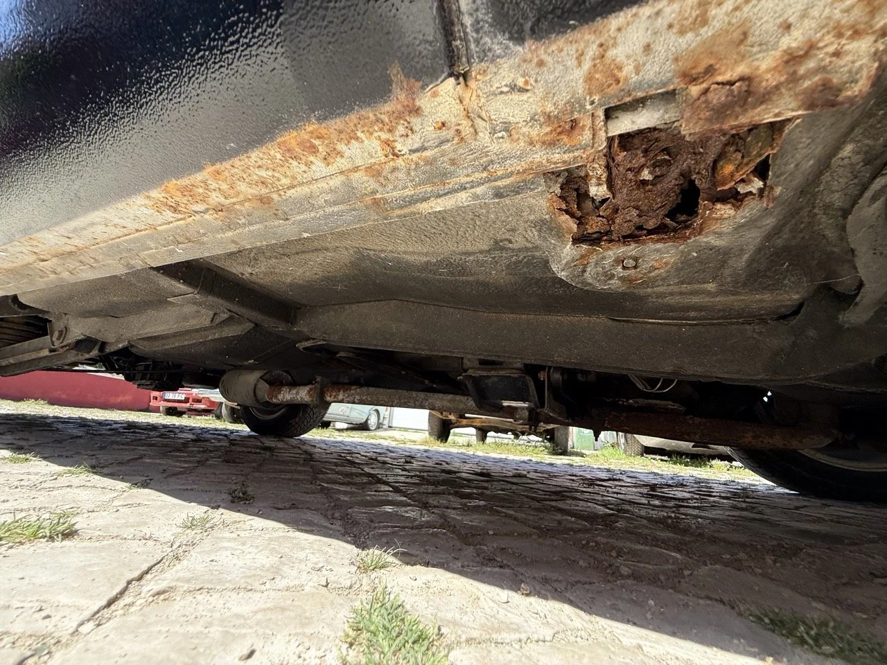 IMG_2232 – grande.jpeg