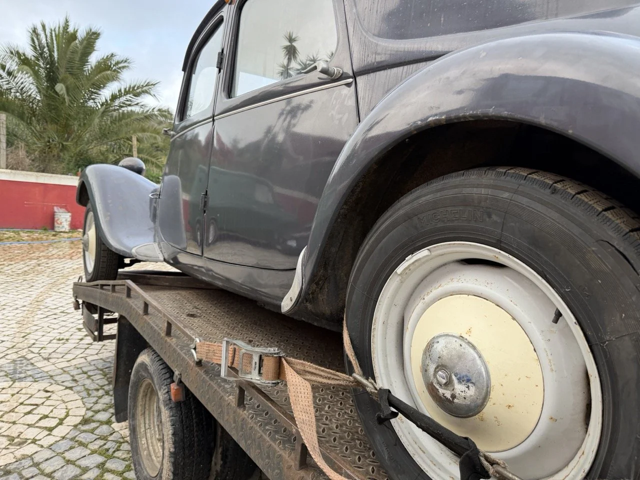 IMG_1878 – grande.jpeg