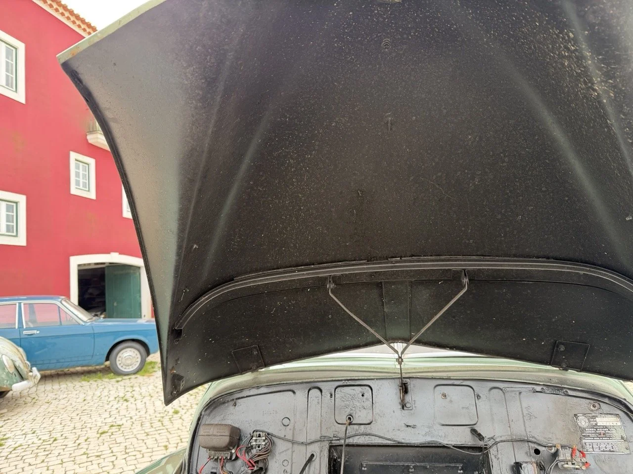 IMG_9839 – grande.jpeg