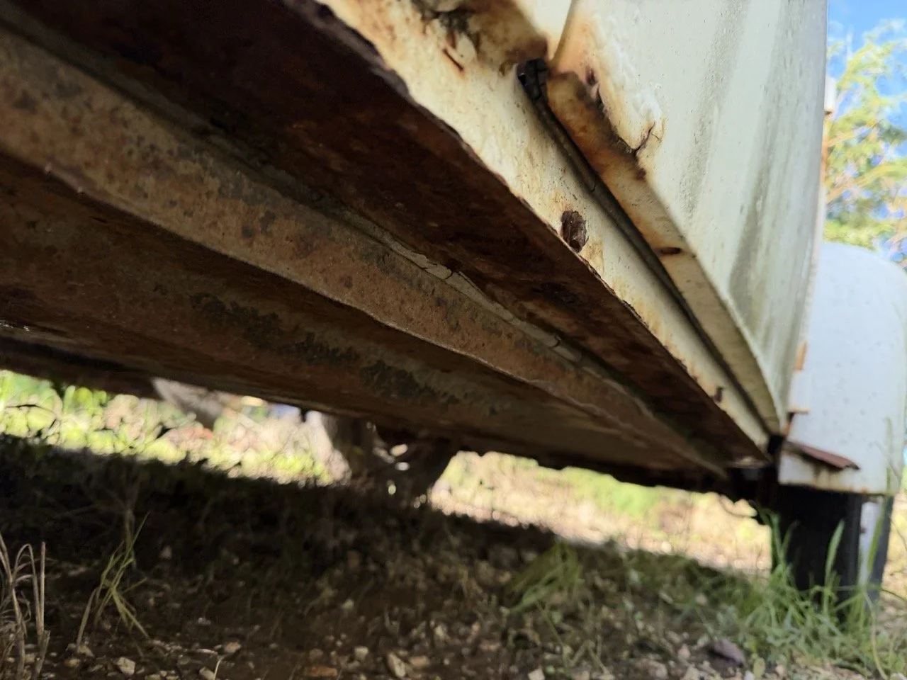 IMG_8581 – grande.jpeg