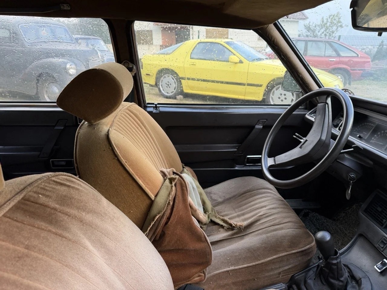 IMG_5273 – grande.jpeg