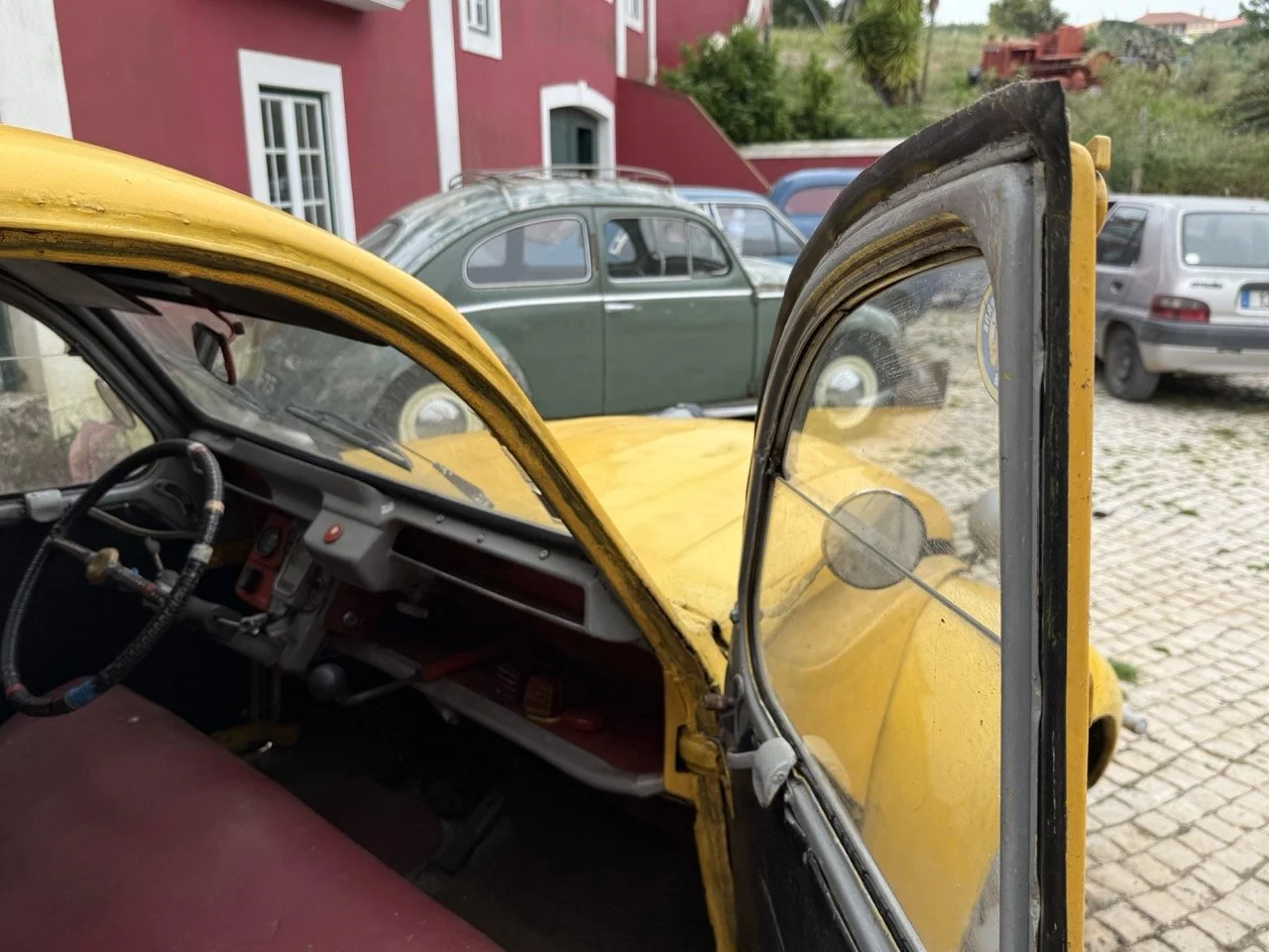 IMG_3792 – grande.jpeg