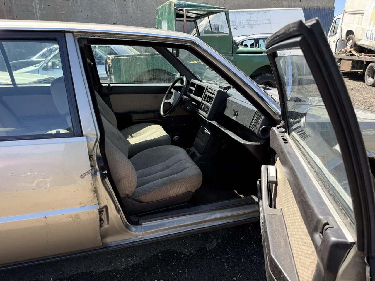 IMG_1891 – grande.jpeg