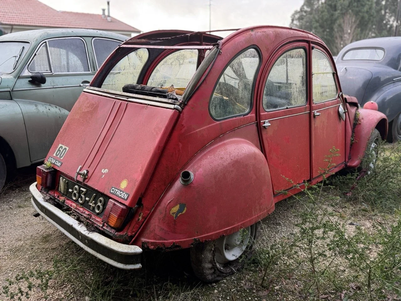 IMG_5469 – grande.jpeg