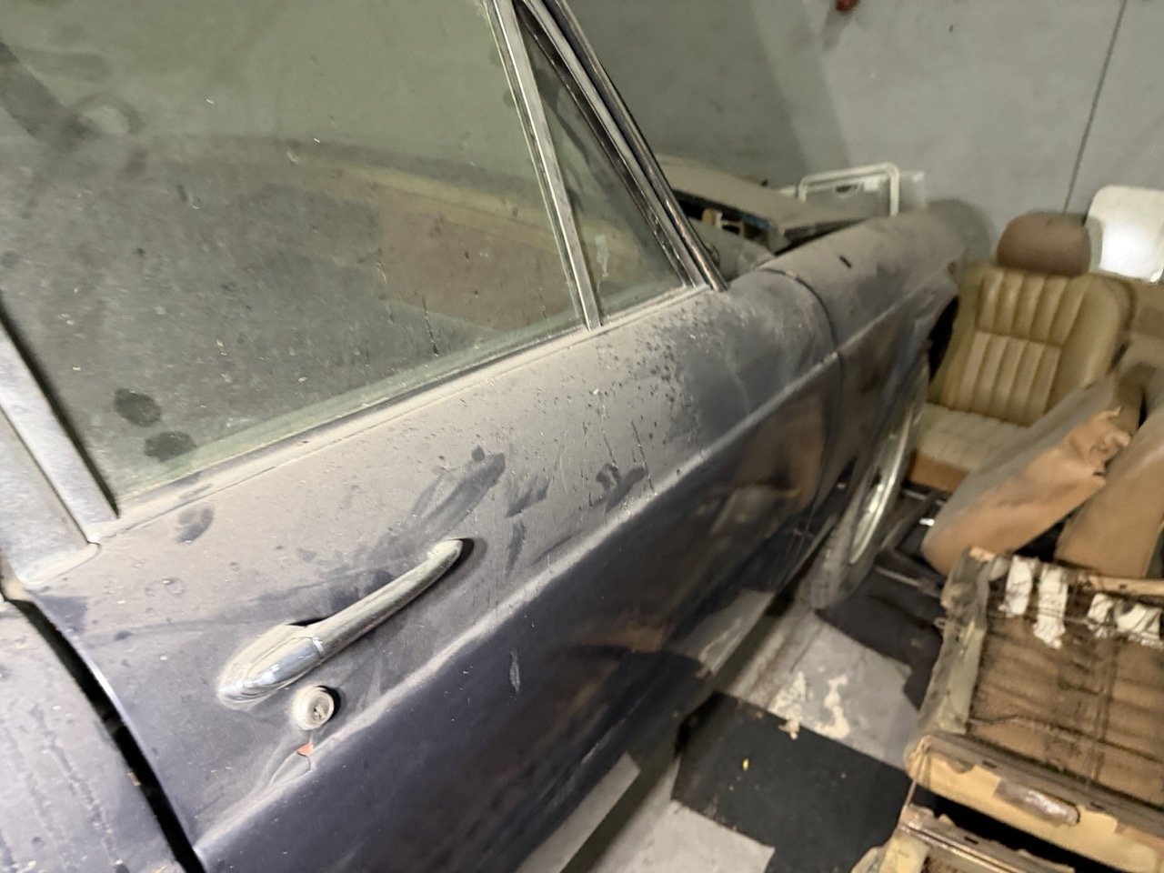 IMG_4241 – grande.jpeg