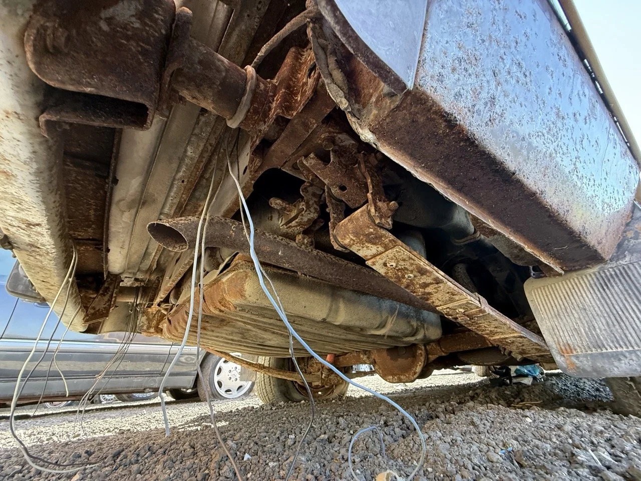 IMG_3055 – grande.jpeg