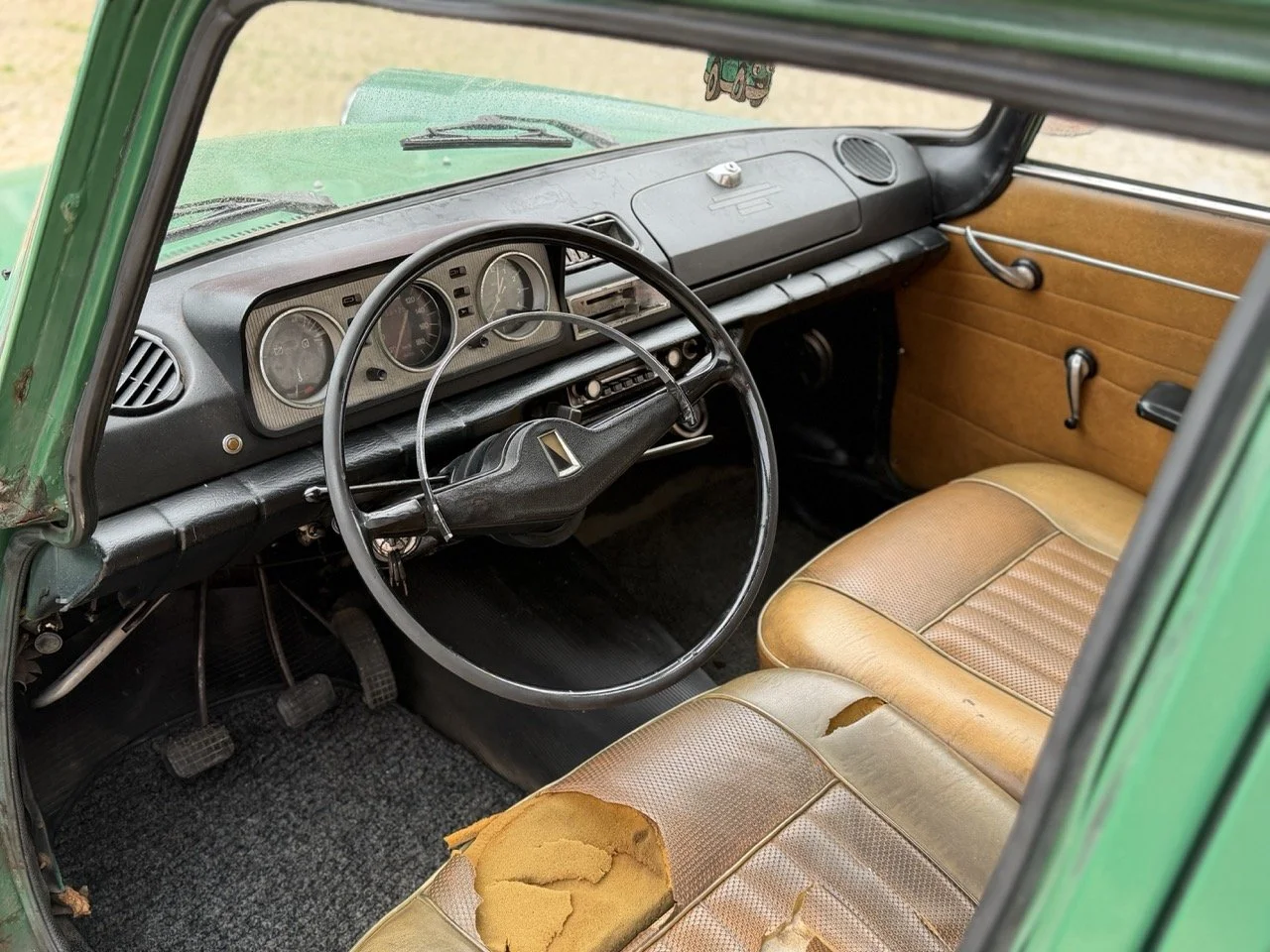 IMG_4503 – grande.jpeg