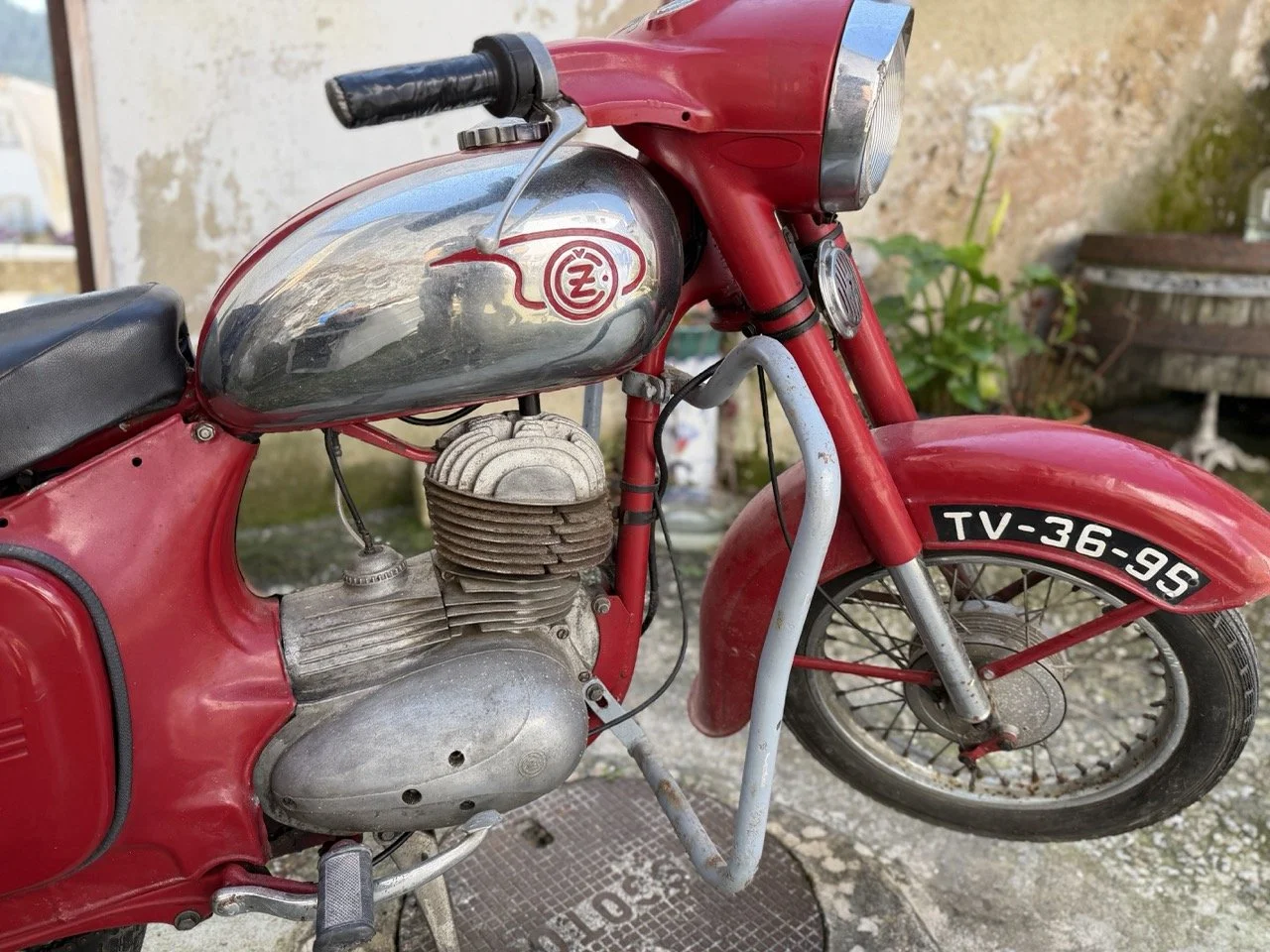 IMG_5904 – grande.jpeg