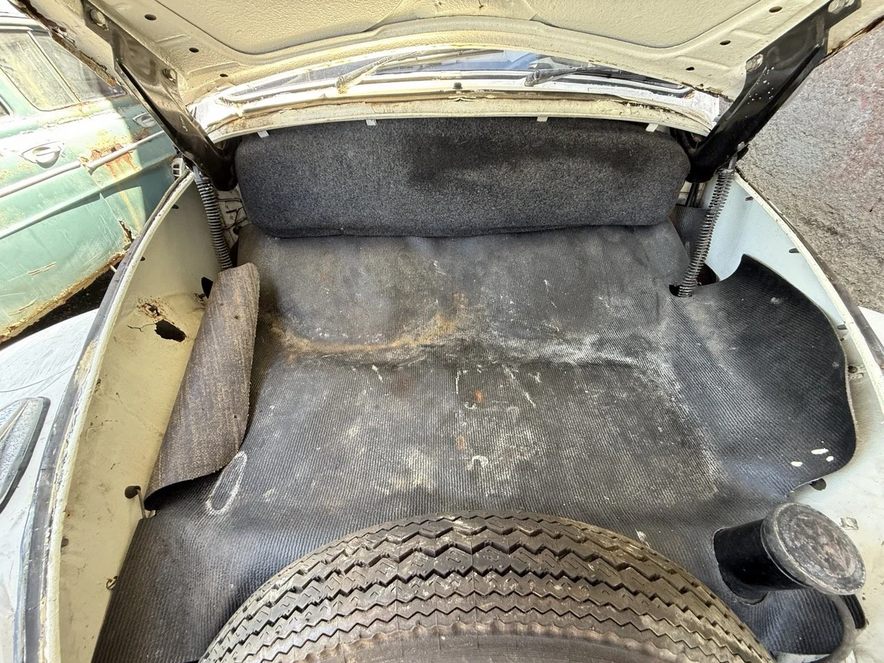 IMG_0713 – grande.jpeg