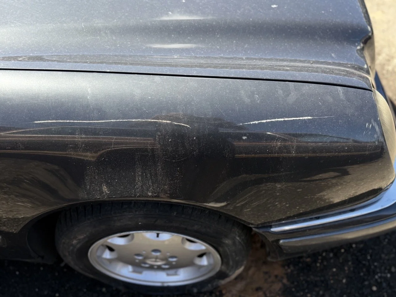 IMG_1793 – grande.jpeg