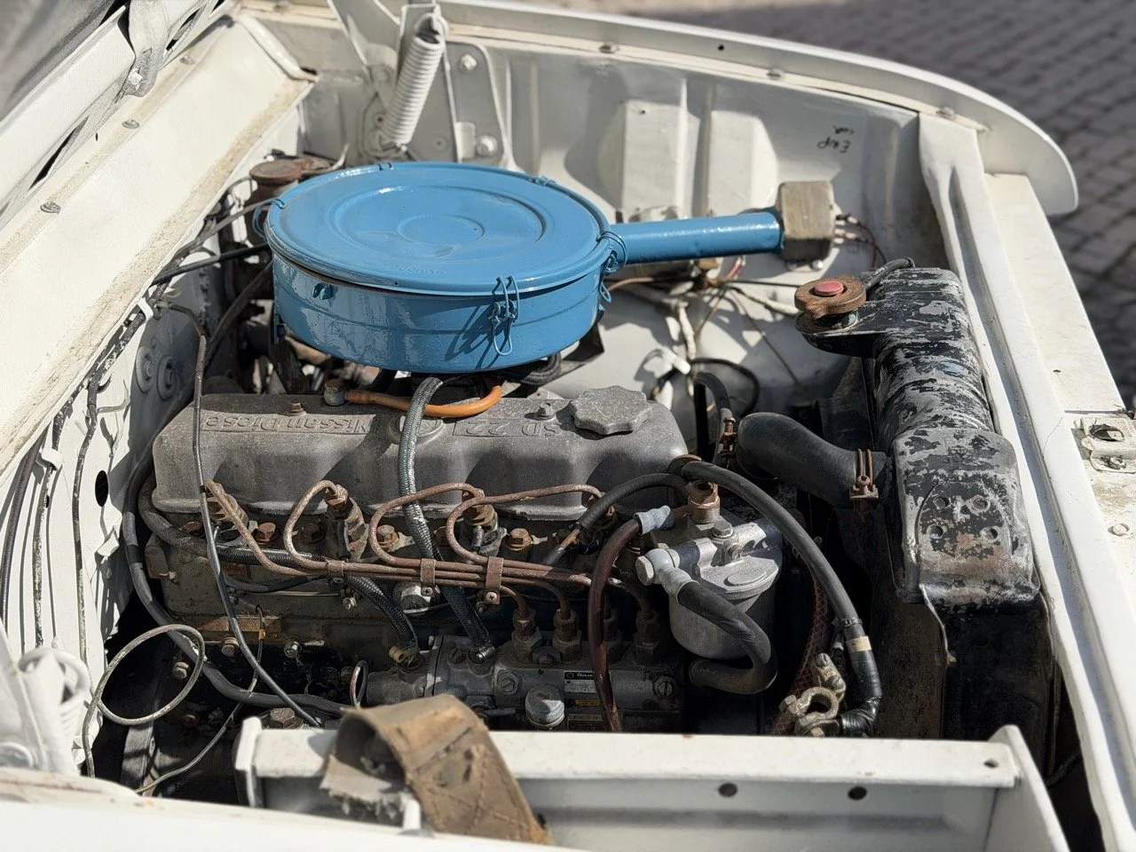 IMG_8611 2 – grande.jpeg