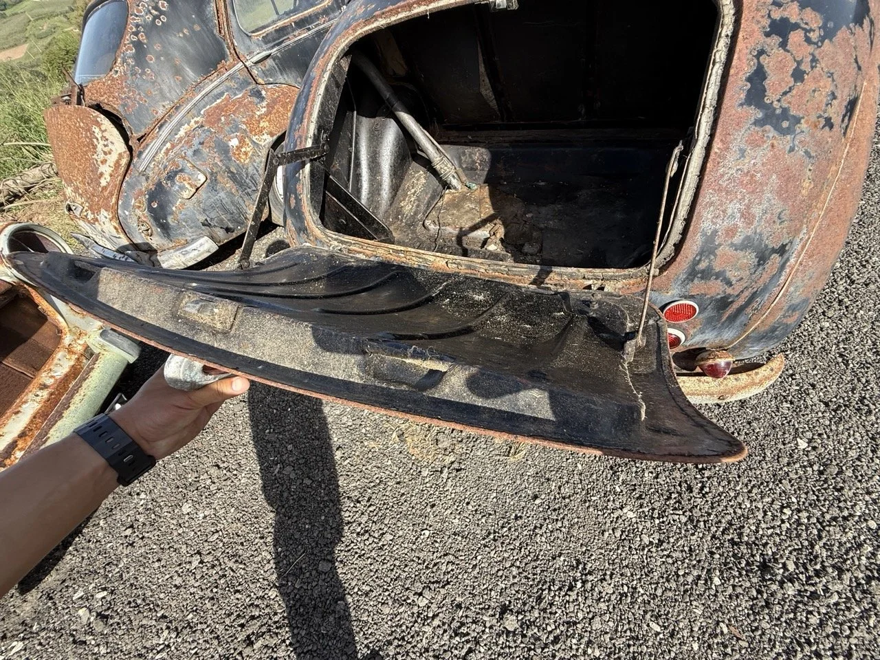 IMG_0474 – grande.jpeg