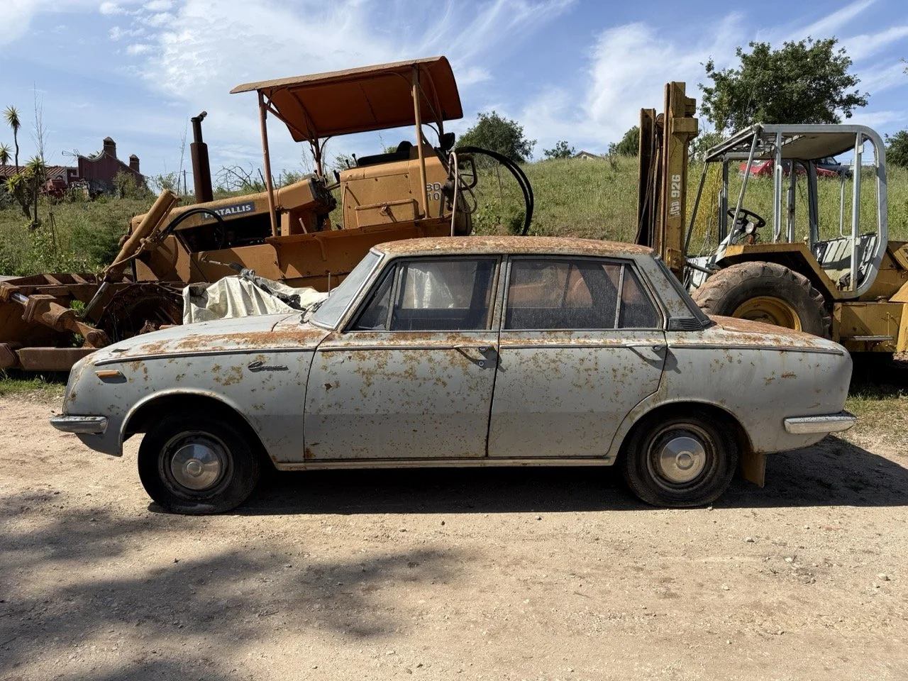 IMG_3223 – grande.jpeg