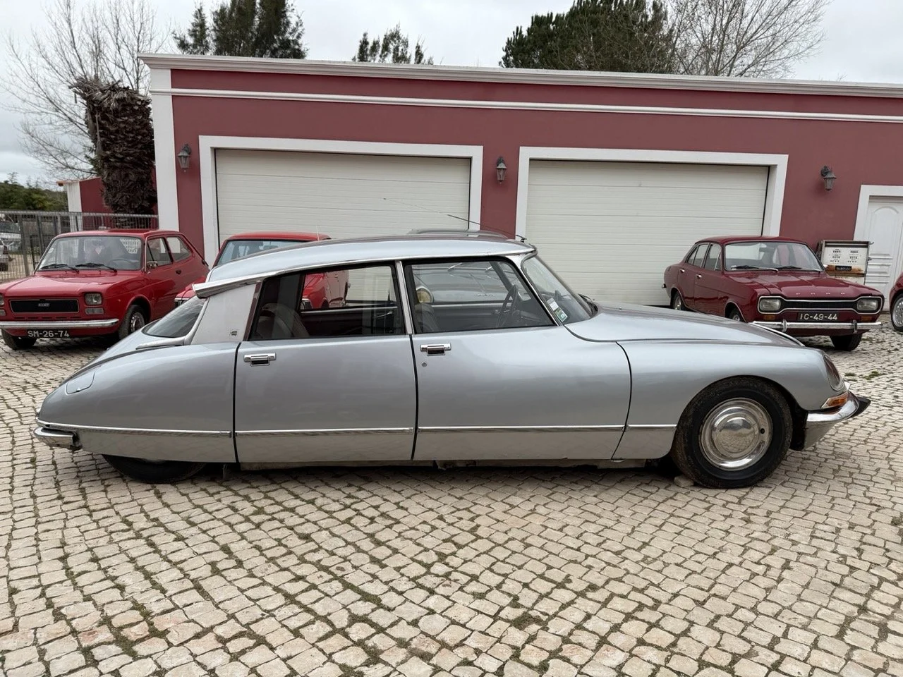 IMG_3671 – grande.jpeg