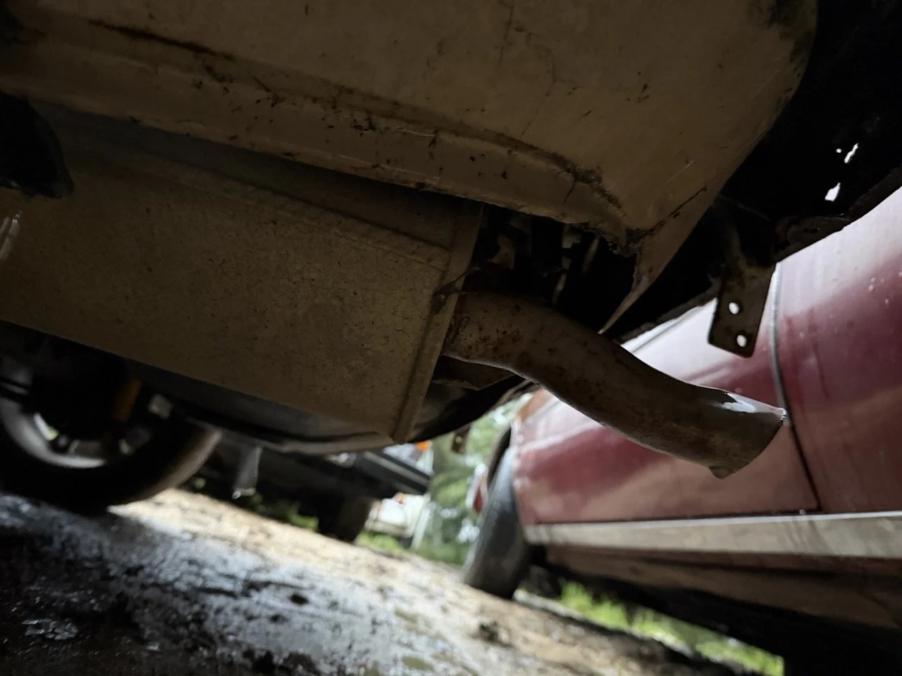 IMG_0201 – grande.jpeg