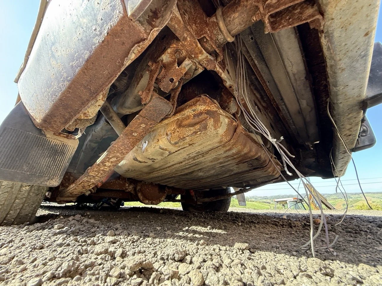 IMG_3054 – grande.jpeg