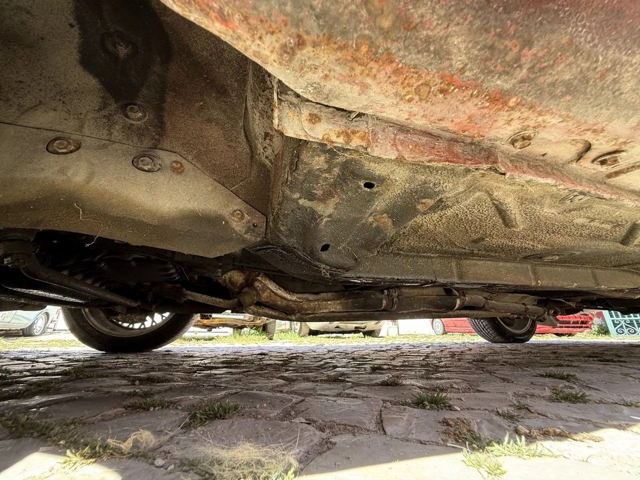 IMG_2099 – grande.jpeg