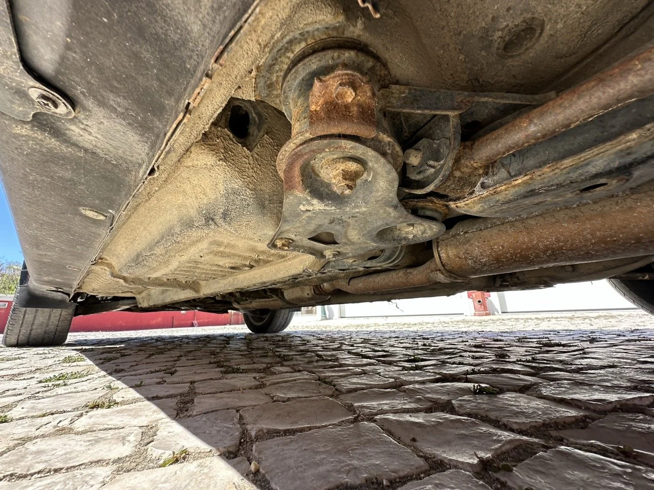 IMG_3128 – grande.jpeg