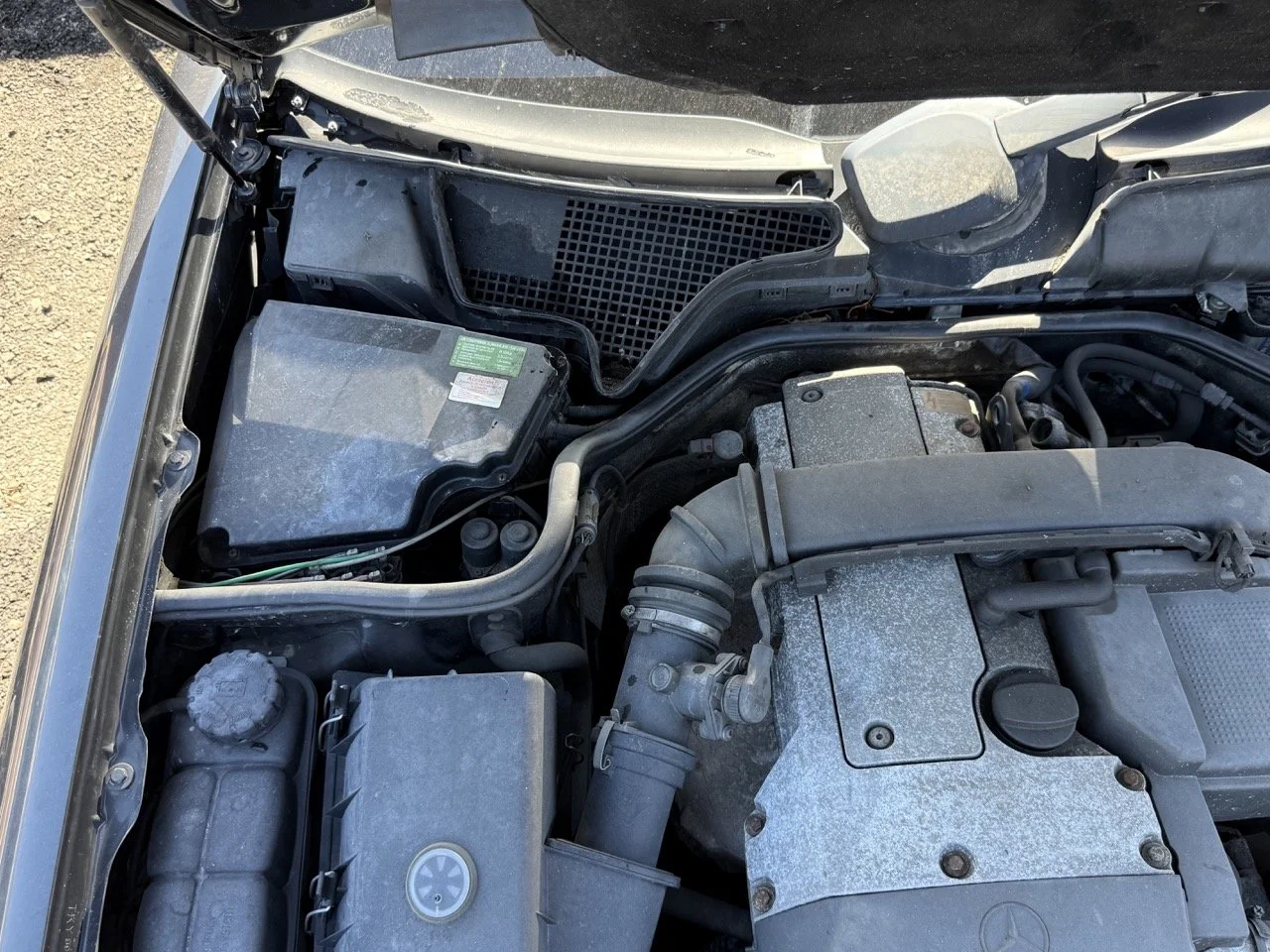 IMG_1783 – grande.jpeg