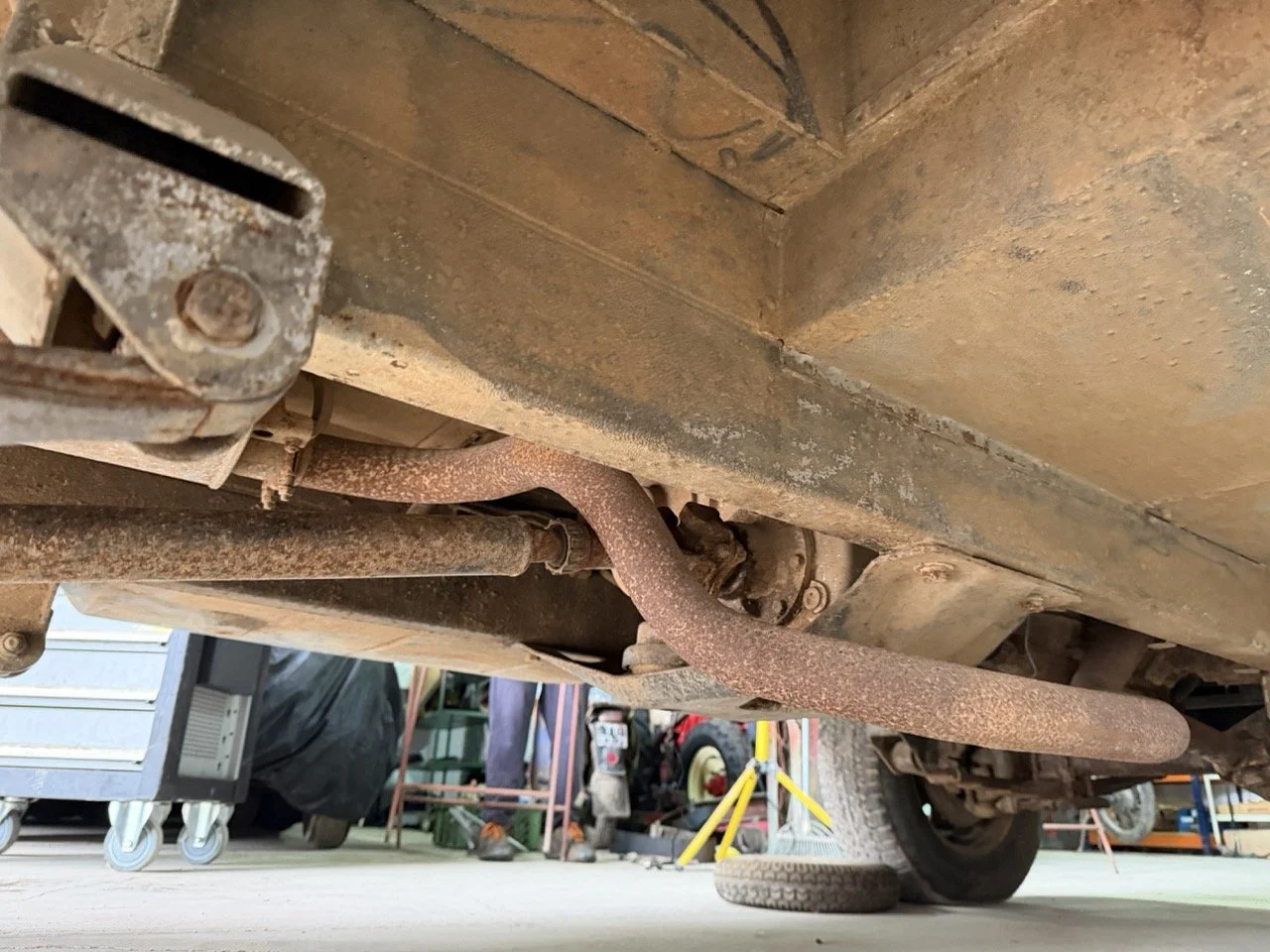 IMG_5242 – grande.jpeg