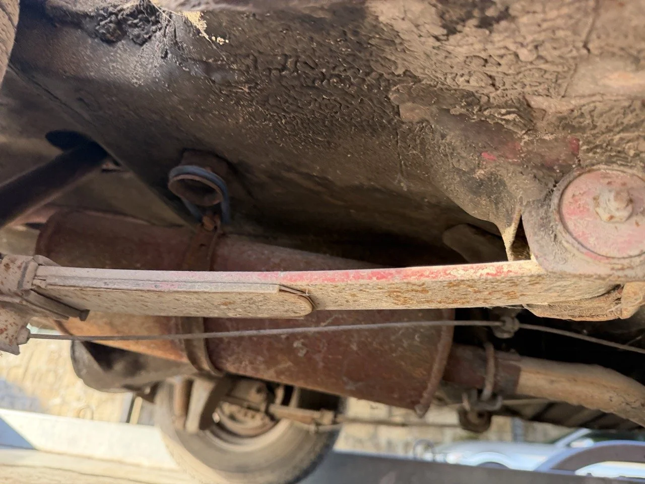 IMG_9074 – grande.jpeg