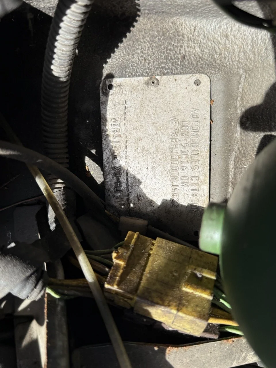 IMG_2551 – grande.jpeg