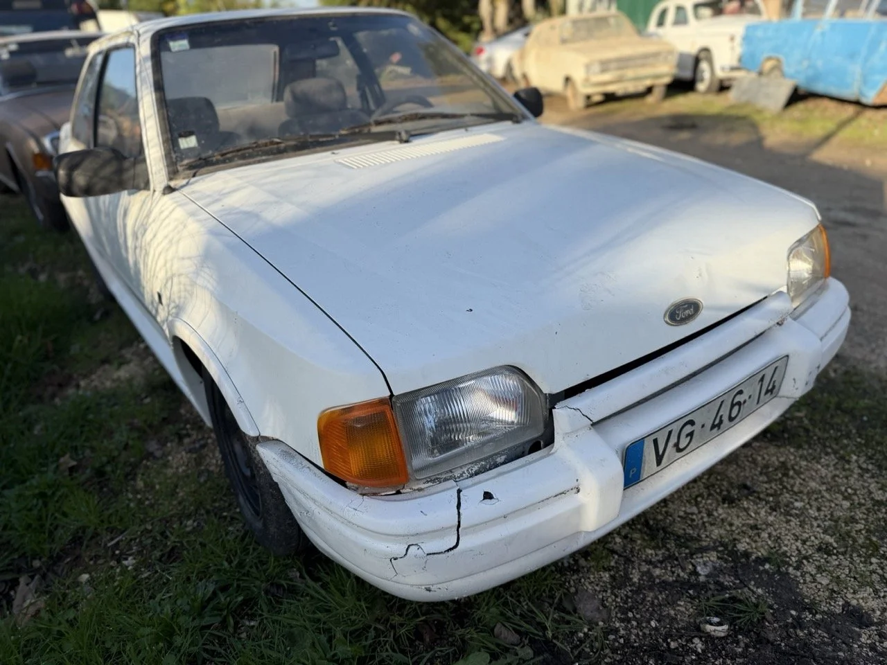 IMG_4089 – grande.jpeg