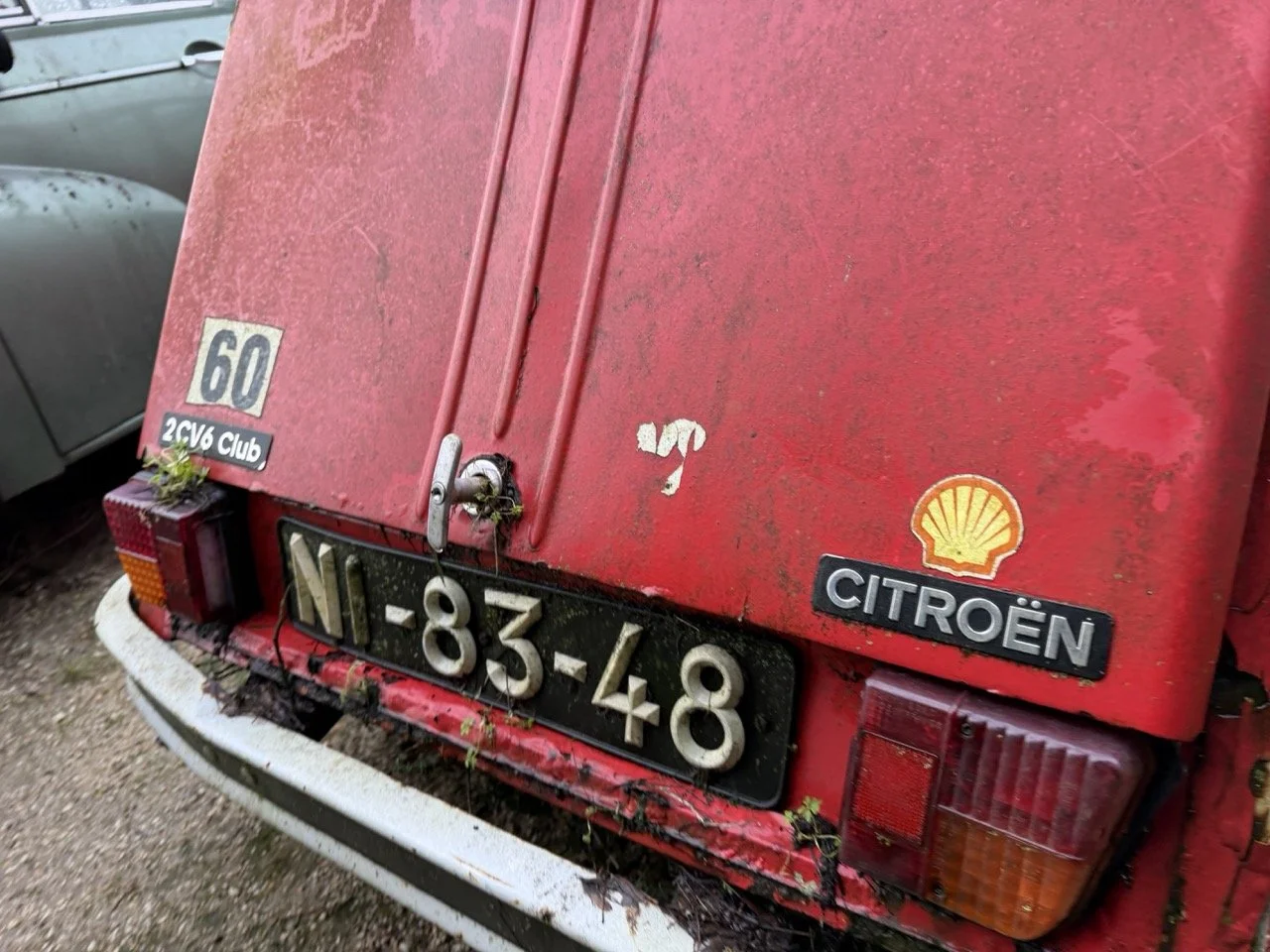 IMG_5505 – grande.jpeg