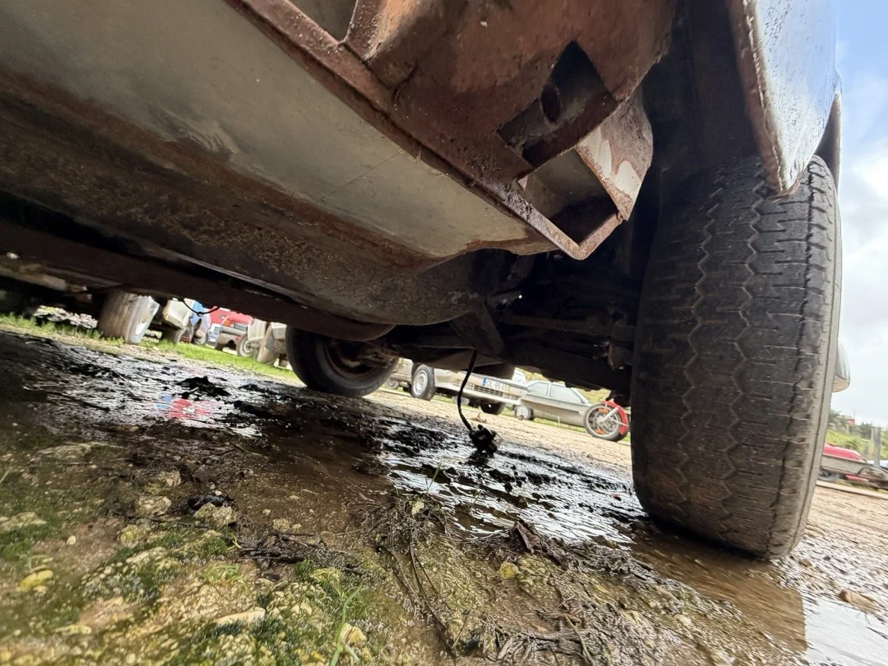 IMG_1942 – grande.jpeg