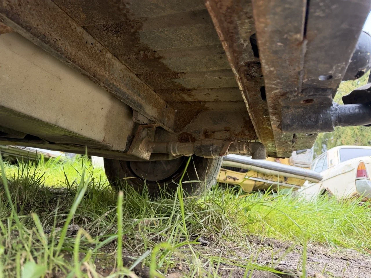 IMG_1347 – grande.jpeg