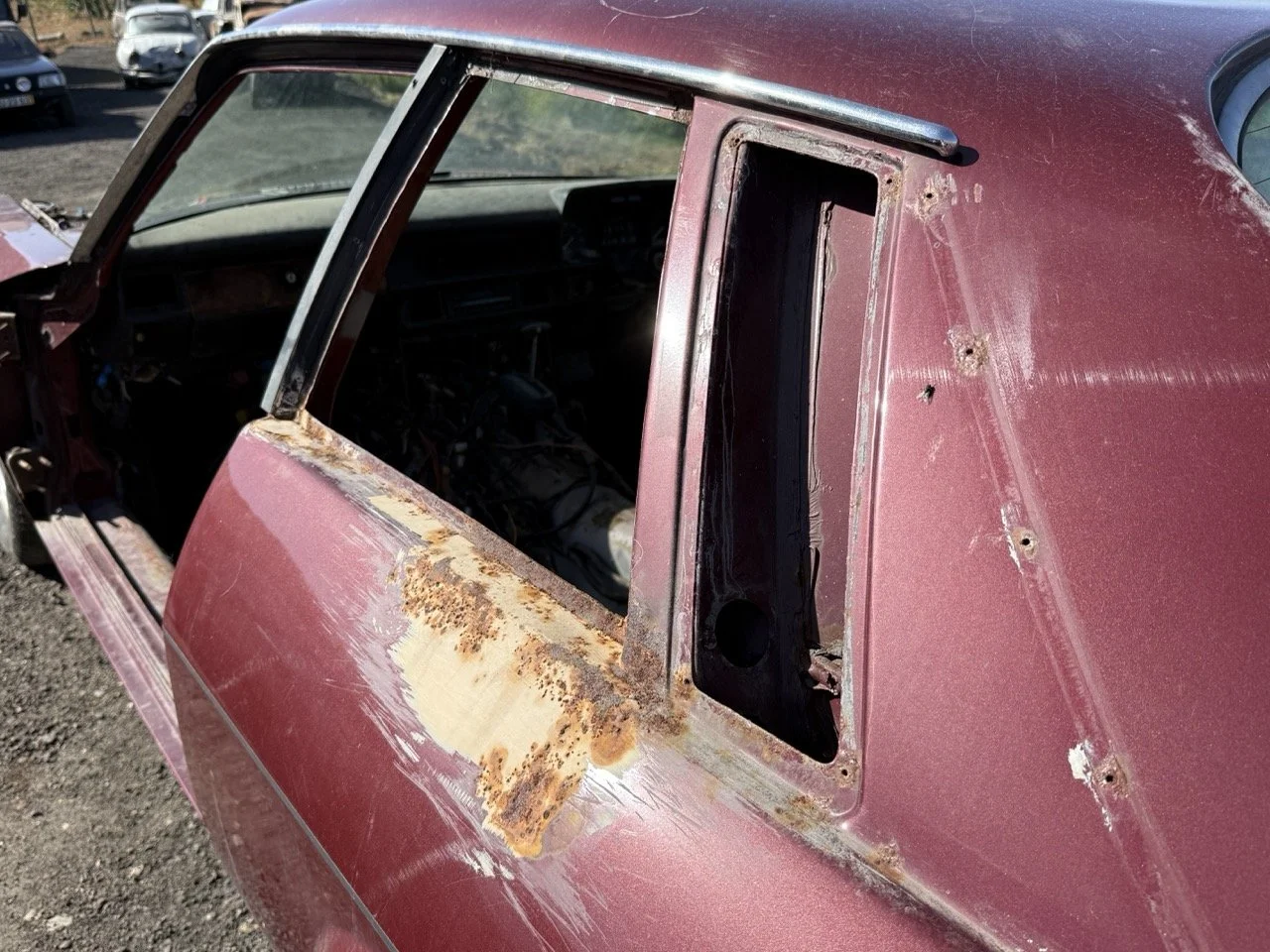 IMG_2993 – grande.jpeg