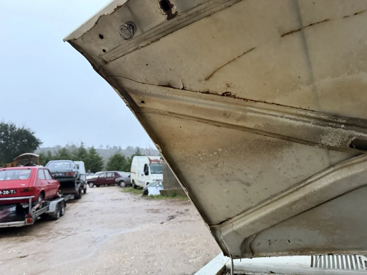 IMG_0164 – grande.jpeg