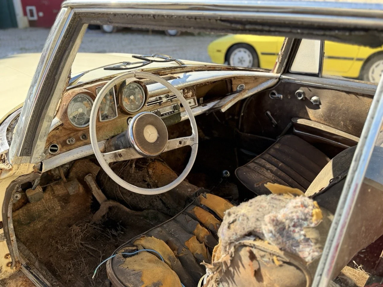 IMG_7012 – grande.jpeg