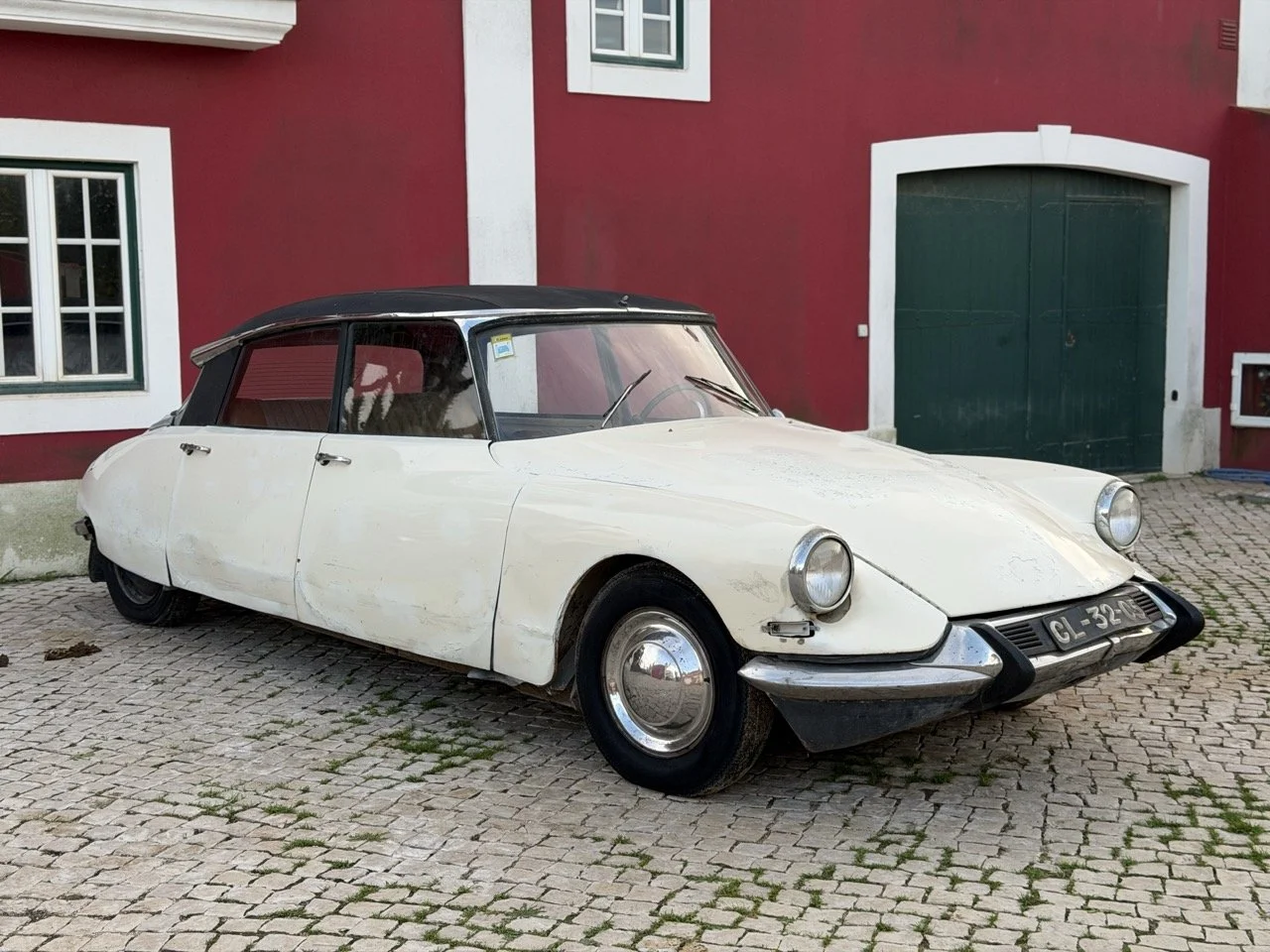 IMG_5916 2 – grande.jpeg