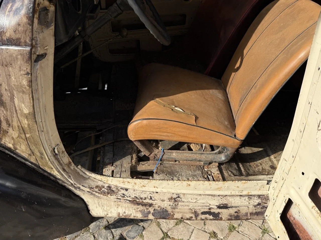 IMG_3733 – grande.jpeg