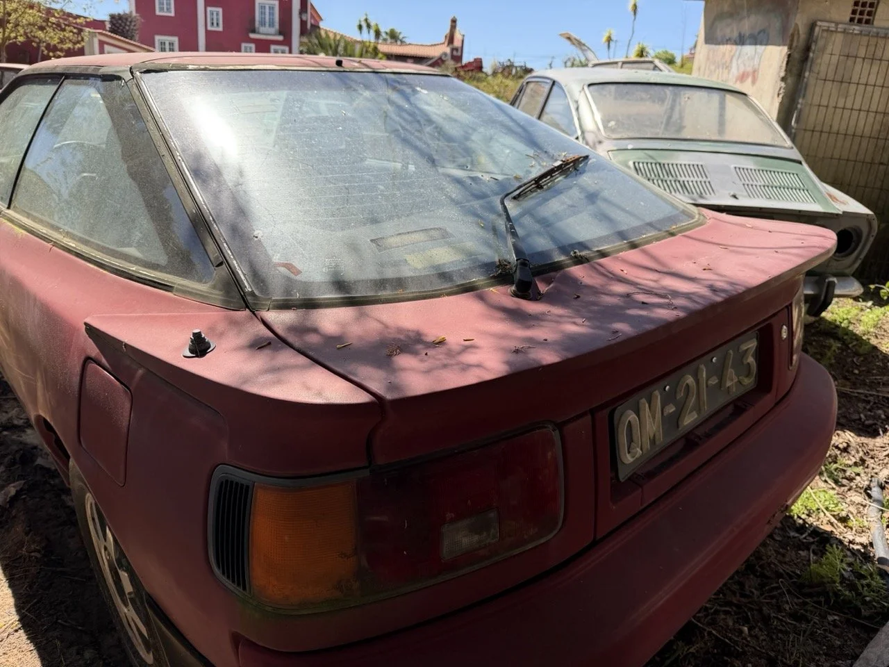 IMG_7639 – grande.jpeg