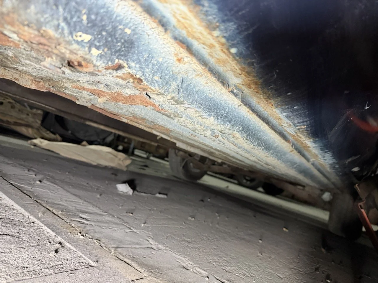 IMG_4252 – grande.jpeg