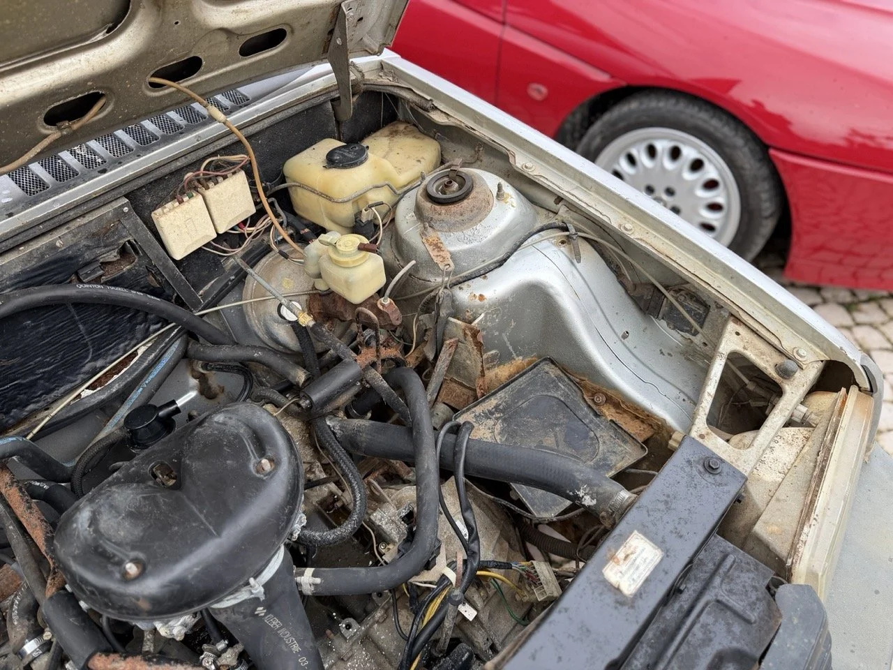 IMG_0519 – grande.jpeg